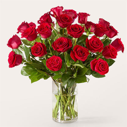 The One Red Rose Bouquet – FLOWERS & GIFTS AT ROTH'S, Salem OR
