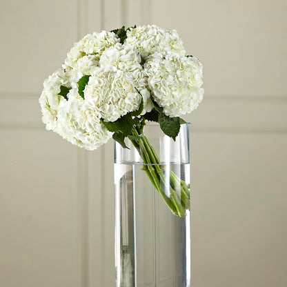 White Hydrangea Hand-Tied Bouquet – FLOWERS & GIFTS AT ROTH'S, Salem OR