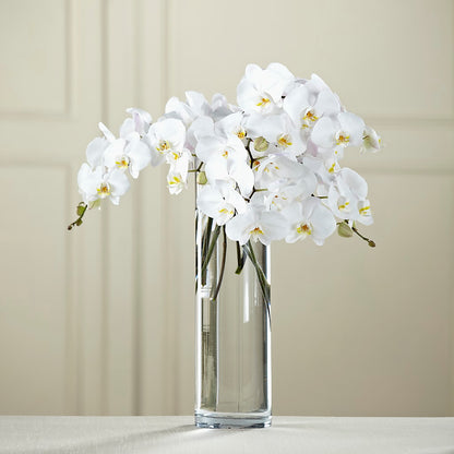 White Phalaenopsis Bouquet – FLOWERS & GIFTS AT ROTH'S, Salem OR