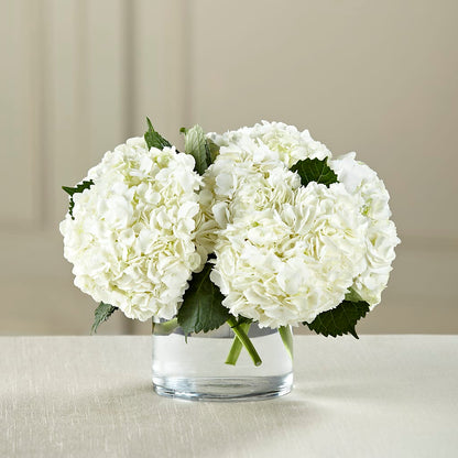 White Hydrangea Bouquet – FLOWERS & GIFTS AT ROTH'S, Salem OR