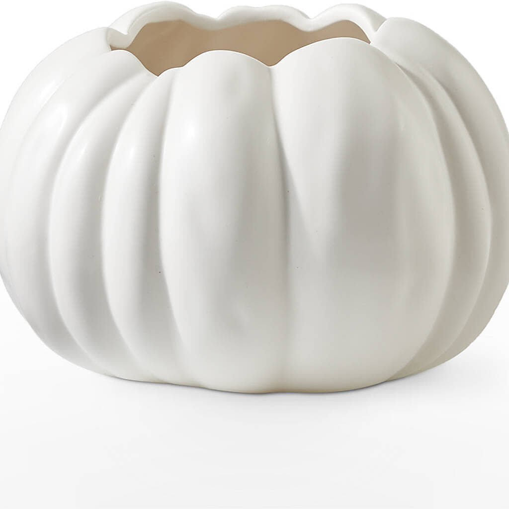 Pumpkin to Talk About Bouquet – FLOWERS & GIFTS AT ROTH'S, Salem OR